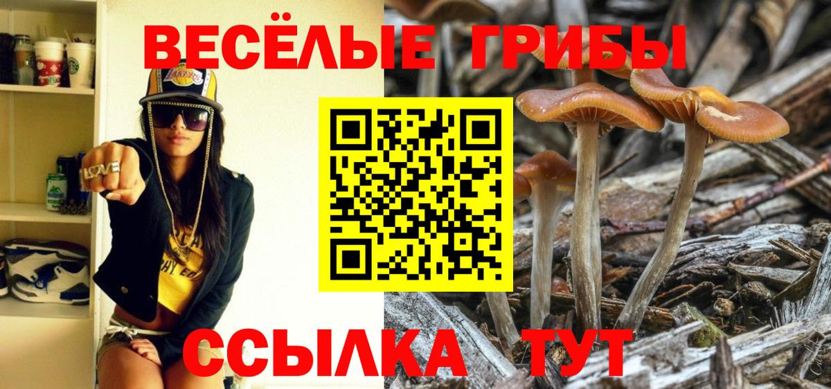 Псилоцибиновые грибы MAGIC MUSHROOMS Урай